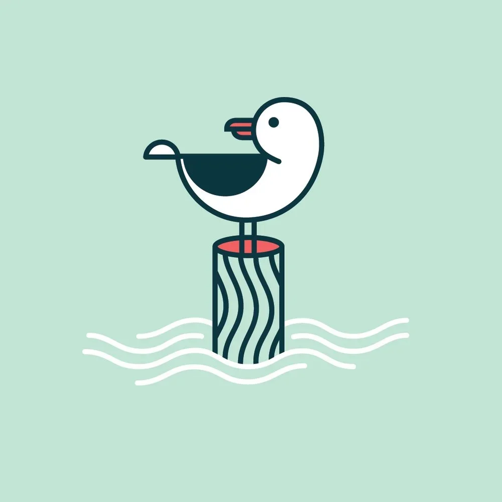 Chase Turberville 'Gull' Print Available
