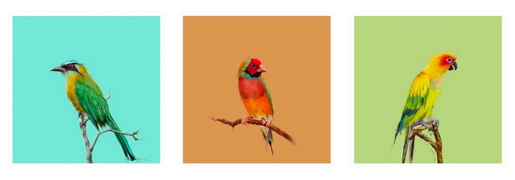 Mark Barrot 'Sketches' INCREDIBLE Bird Prints Available