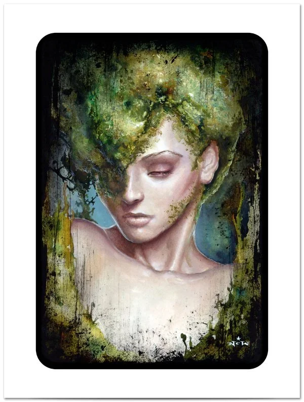 NC Winter 'Licheness' + Hopelessly Anarchronistic' Prints Available