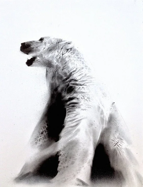 Li-Hill 'Polar Bear' Print Available NOW