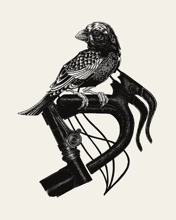 Bungaloo 'Bird On A Bike' Print Available