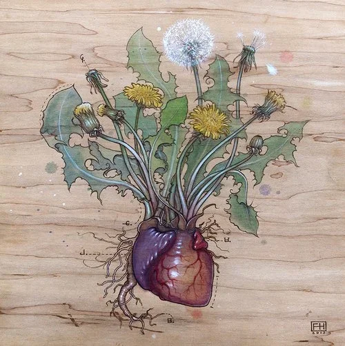 Fay Helfer 'Dandelion Heart' Paper or Wood Print Available