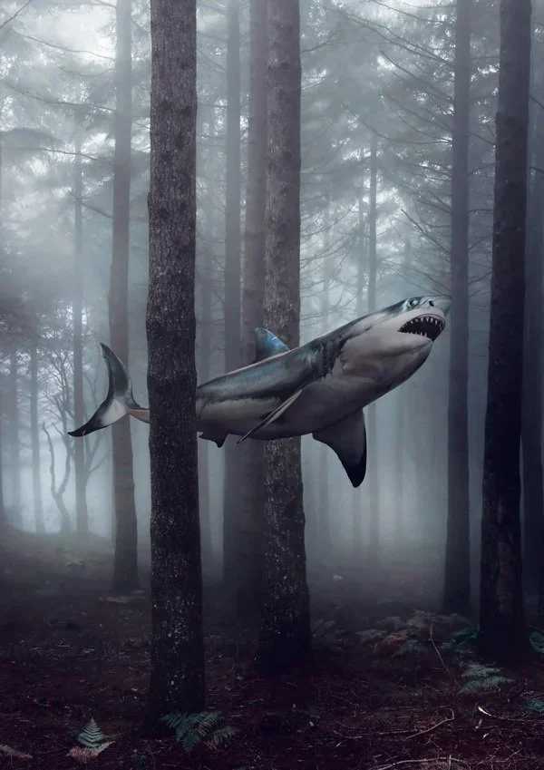 Jack Crossing 'Inhabit I' + 'Inhabit II' Prints Available