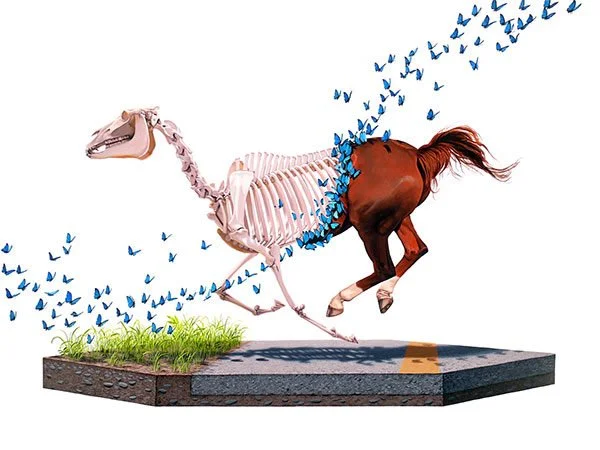 Josh Keyes 'Fragment' Art Show SNEAK PEAK