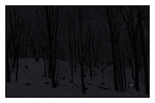 Dan McCarthy 'Guiding Light' Print Available