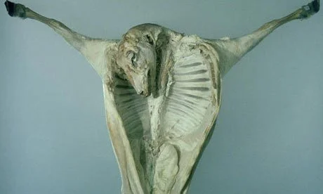 Damien Hirst Faces 8 New Claims Of Plagiarism