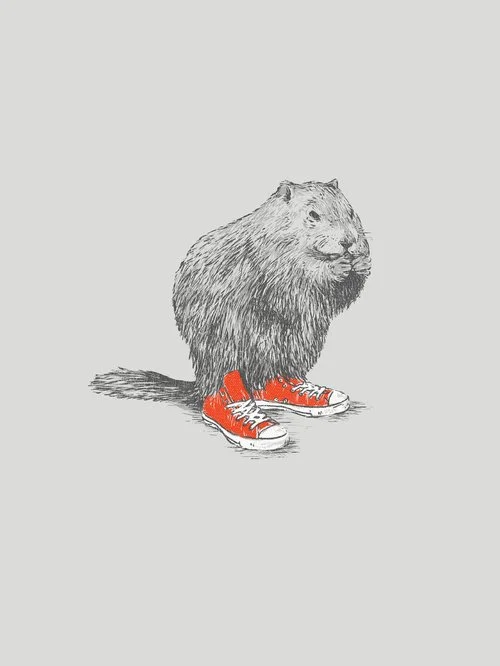 David Schwen 'Woodchucks' Print Available