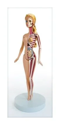 Jason Freeny 'Anatomical Barbie B' Print Available