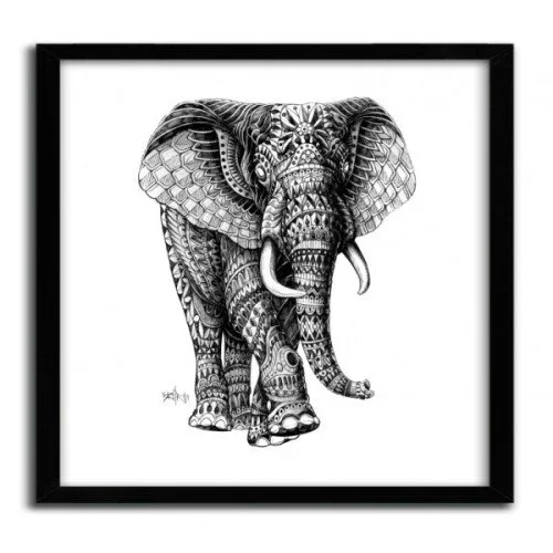 Ben Kwok 'Ornate Elephant' Print Available