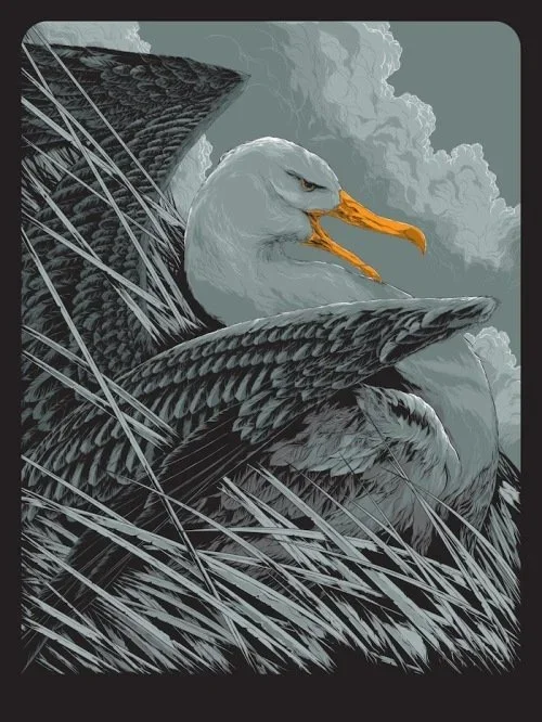 Ken Taylor 'Albatross' Print Release Details