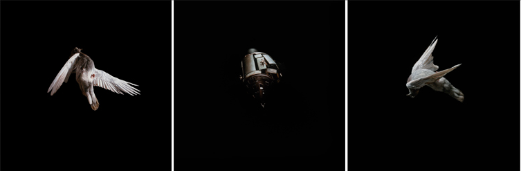 Jeremy Geddes 'Misere' Set One Lottery Details