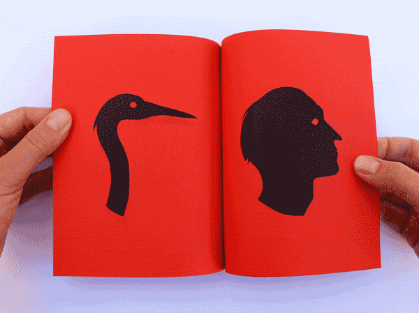 Sam3 'Rara Avis' Book Available