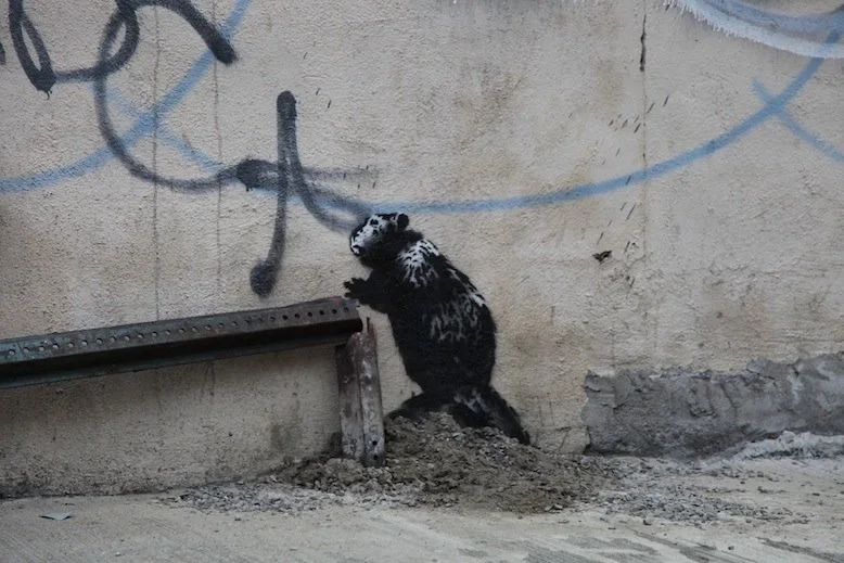 Banksy 'Beaver' Graffiti Found In New York City