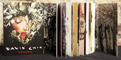 David Choe 'Postcard Set' Available