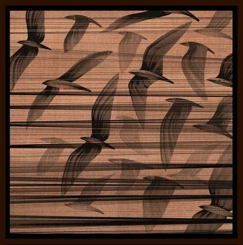 Kai And Sunny 'Migration South' Copper Available