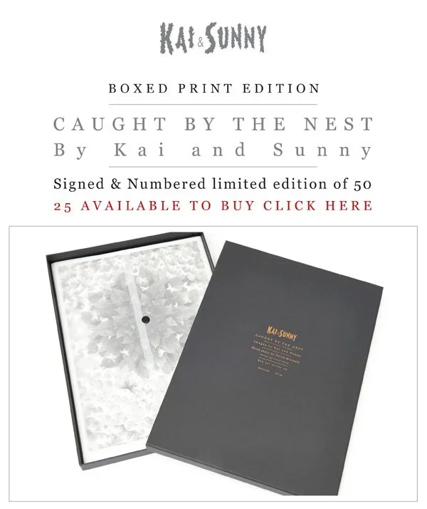 Kai And Sunny 'Caught By The Nest' Box Set Available