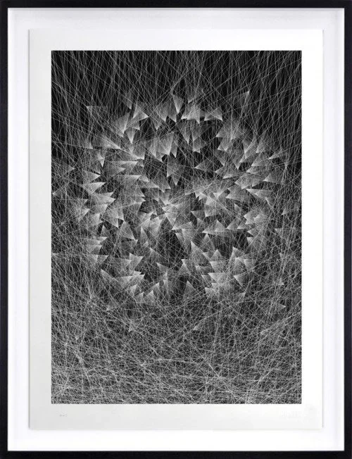 Kai And Sunny 'Caught By The Nest' Print Available