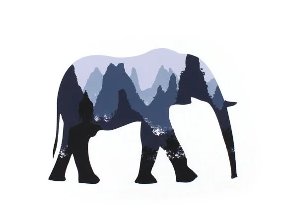 Philip LeBlanc 'Thai Elephant' Print Available