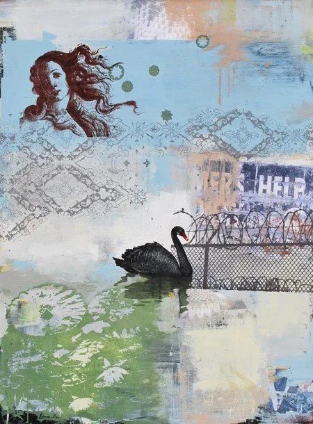 Laura Mae Dooris 'Black Swan' Print Available