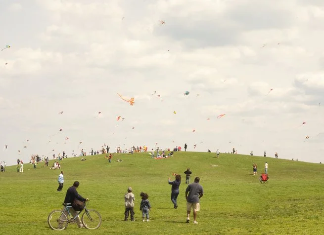 Paul Octavius 'Kite Hill' Print Available