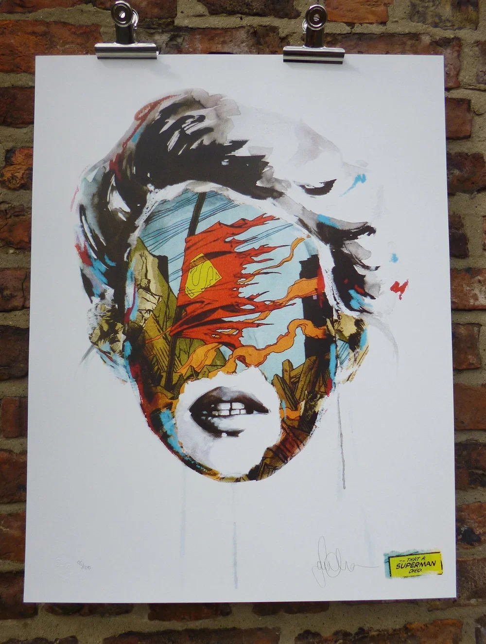 Sandra Chevrier 'Fragile Heroes' Print Available
