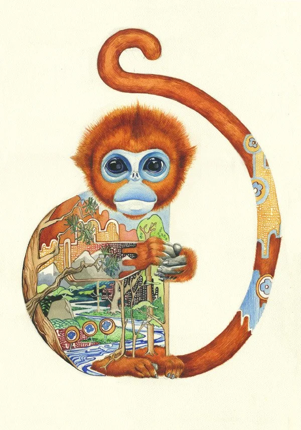Daniel Mackie 'Golden Snub Nosed Monkey' Print Available