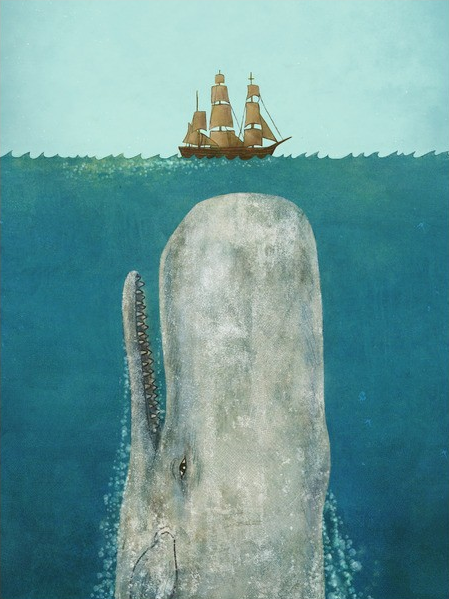 Terry Fan 'The Whale' Print Available