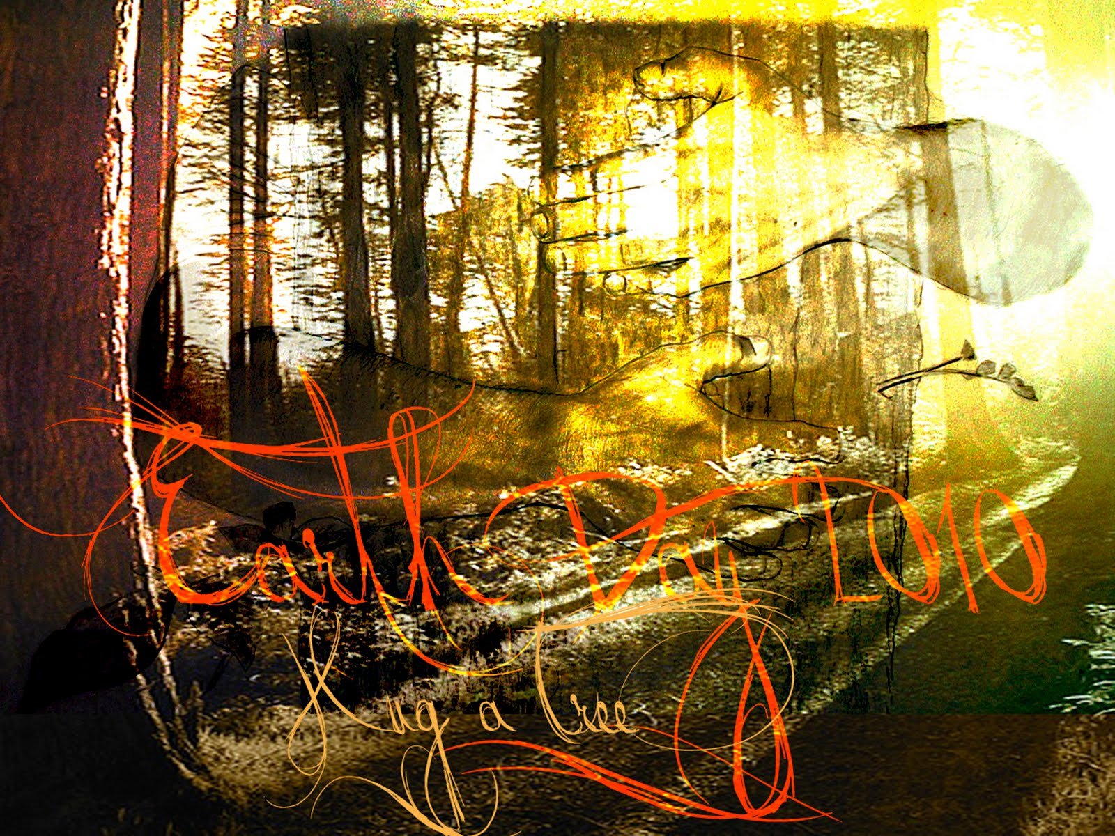 Branden Otto 'Tree Hugger Series 2 + Series 3' Print Release Details