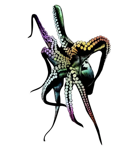 Myah Bailey 'Chroma 5' Print Available