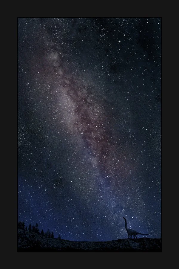 Dan McCarthy 'Same As It Ever Was' Print Available