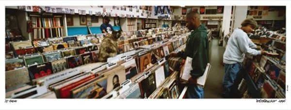 DJ Shadow 'Entroducing' Panoramic Print Available