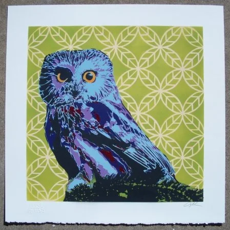 Ian Millard 'Saw Whet Owl' Print Available