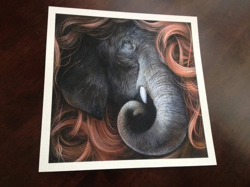 Dan May 'Tangled Wisdom' Print Release Details