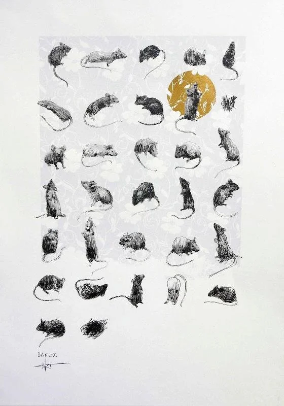 Charming Baker 'Being Yourself Is Easier...' Print Available