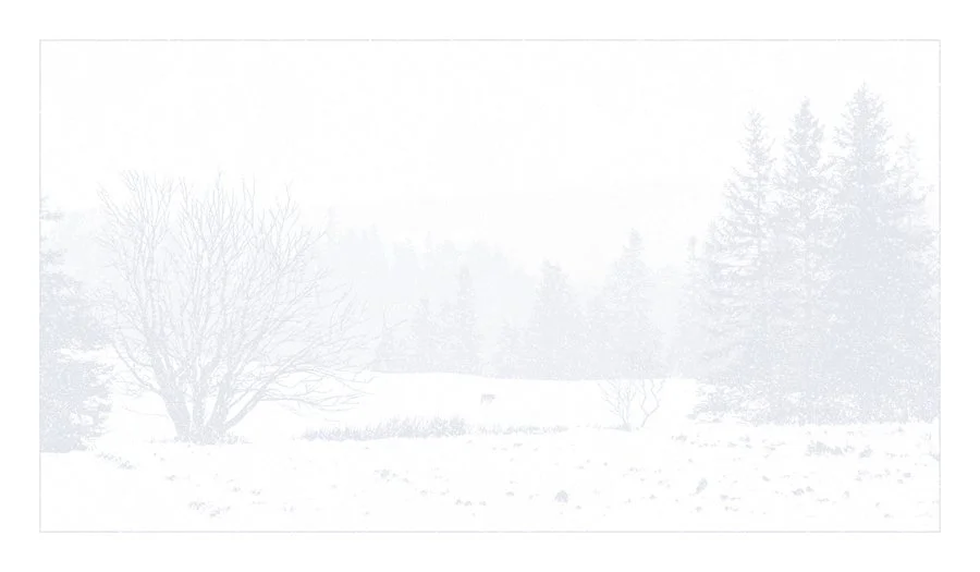 Dan McCarthy 'Call Of The Wild' Print Release Details