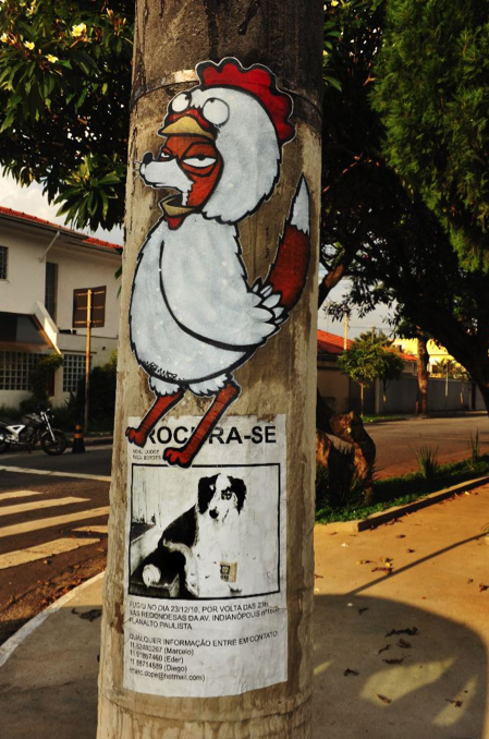 Mau Mau 'Carnaval Fox' Paster