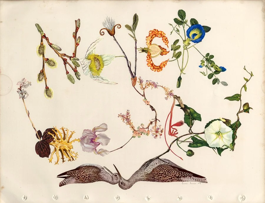 Alexis MacKenzie 'Never Be Sad' Print Available