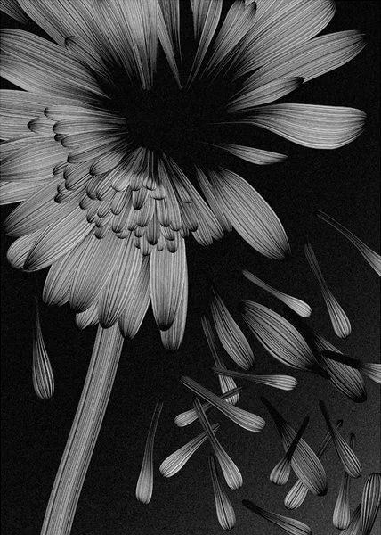 Kai And Sunny 'Broken Flowers' Print Available