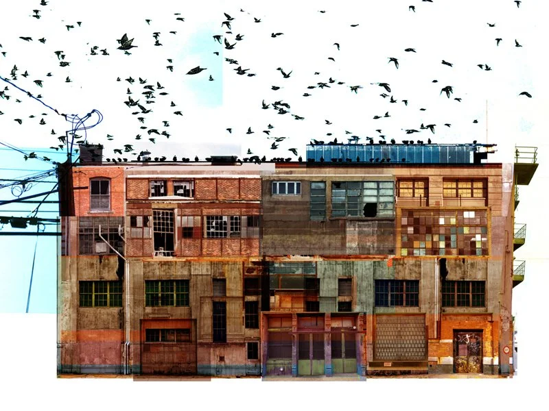 Tommy Cinquegrano 'Warehouse #1' A/P Release Details