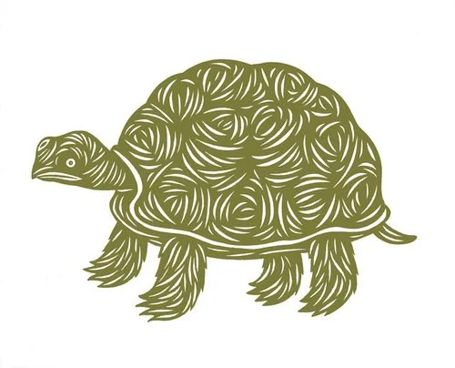 Don Carney 'Wise Turtle' + 'Curious Bear' Prints Available