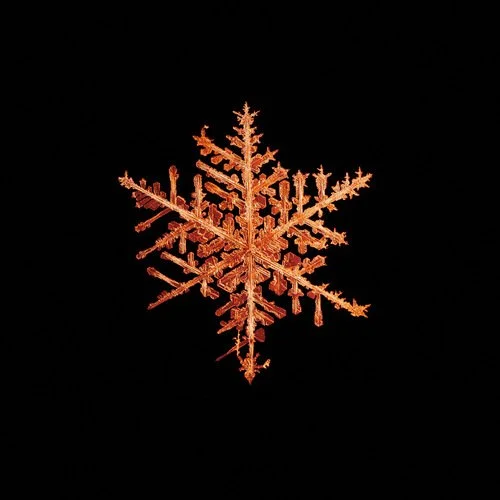 Mike + Doug Starn 'Snow Flake 8' Print Available