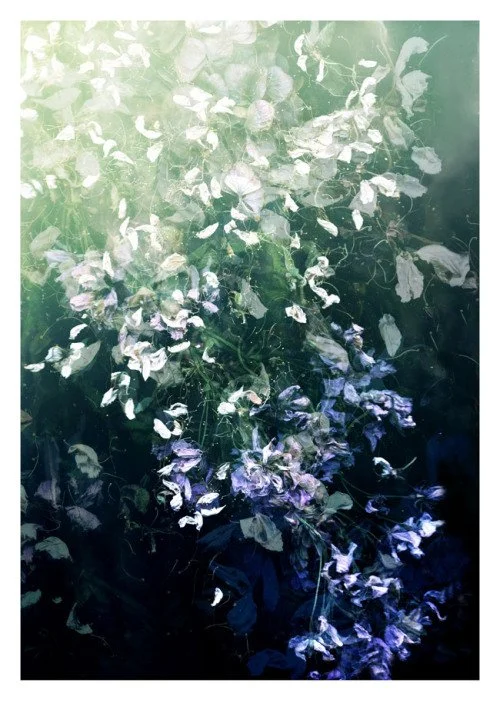 Karborn 'Pauses' Print Available