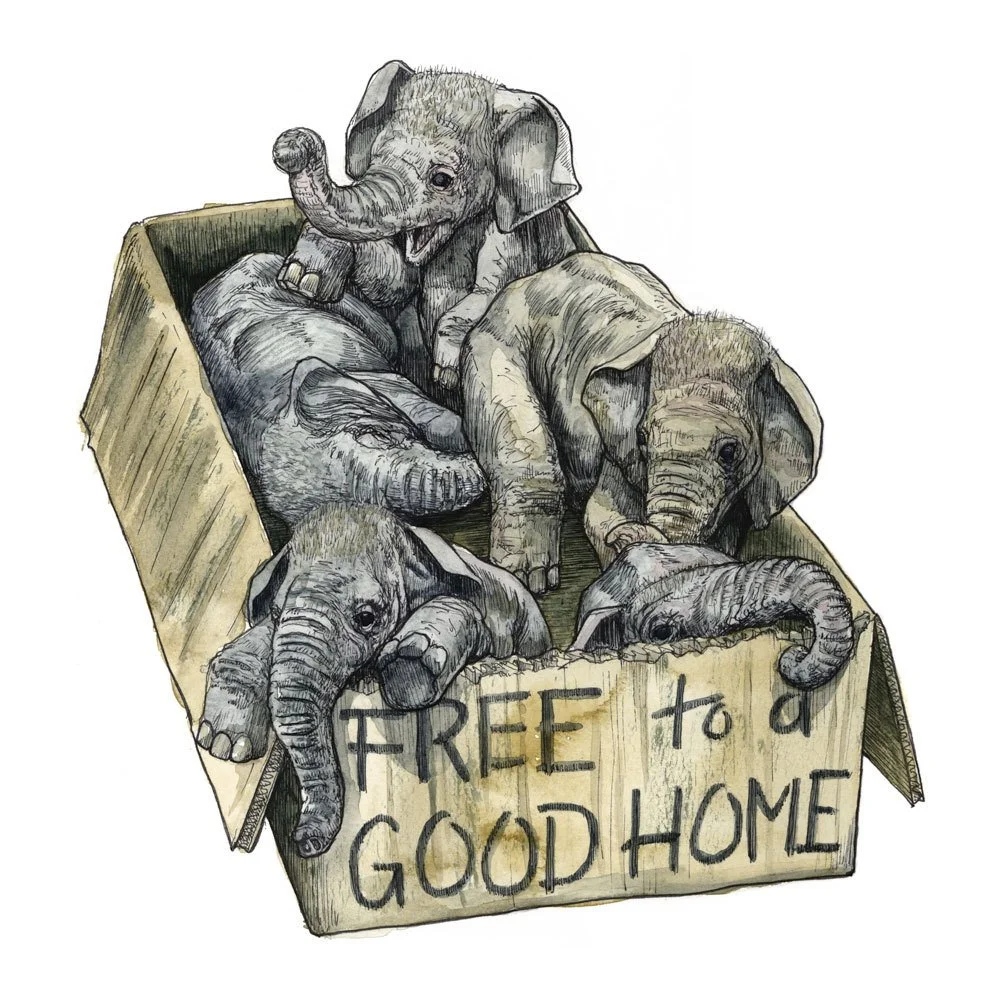 Octophant 'Feel Free To Good Home' Print Available