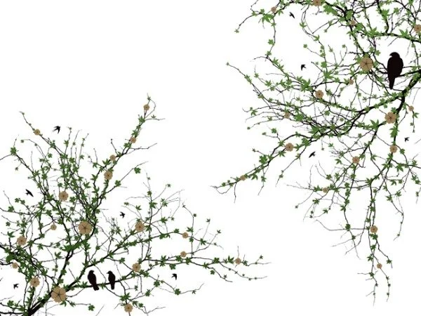 Mike Klay 'Old Grove' White Exclusive Print Available