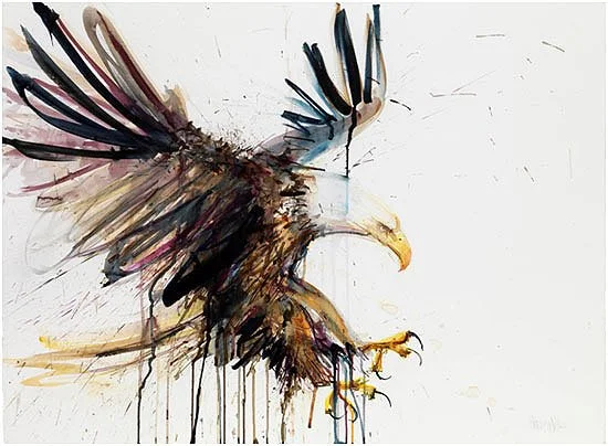 Dave White 'Eagle' Print Available