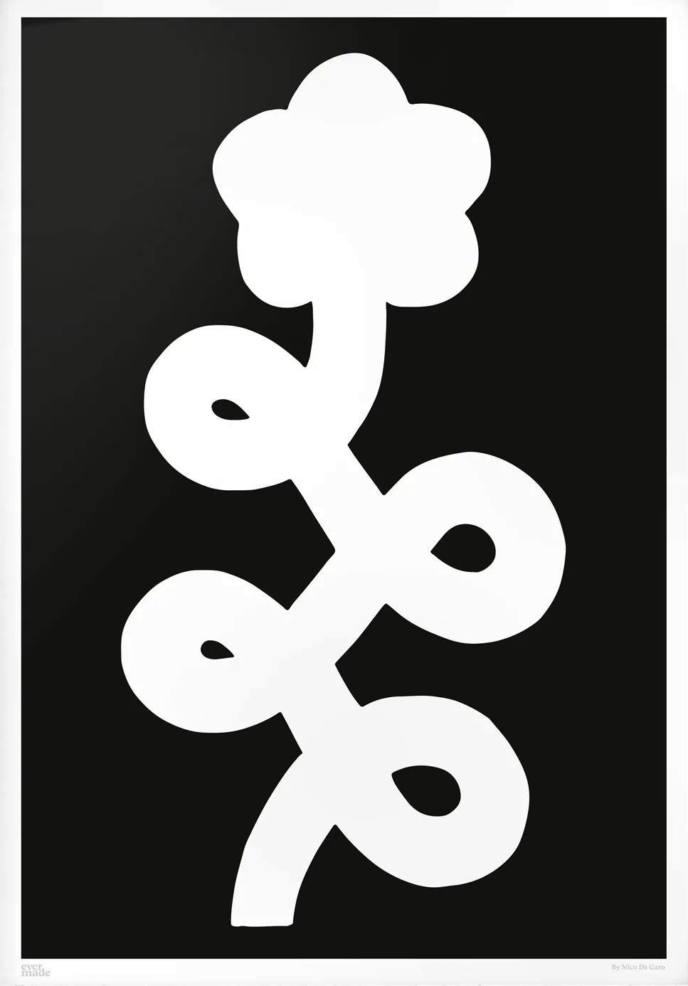 Nicolas De Caro 'Impatiens Walleriana' Print Available