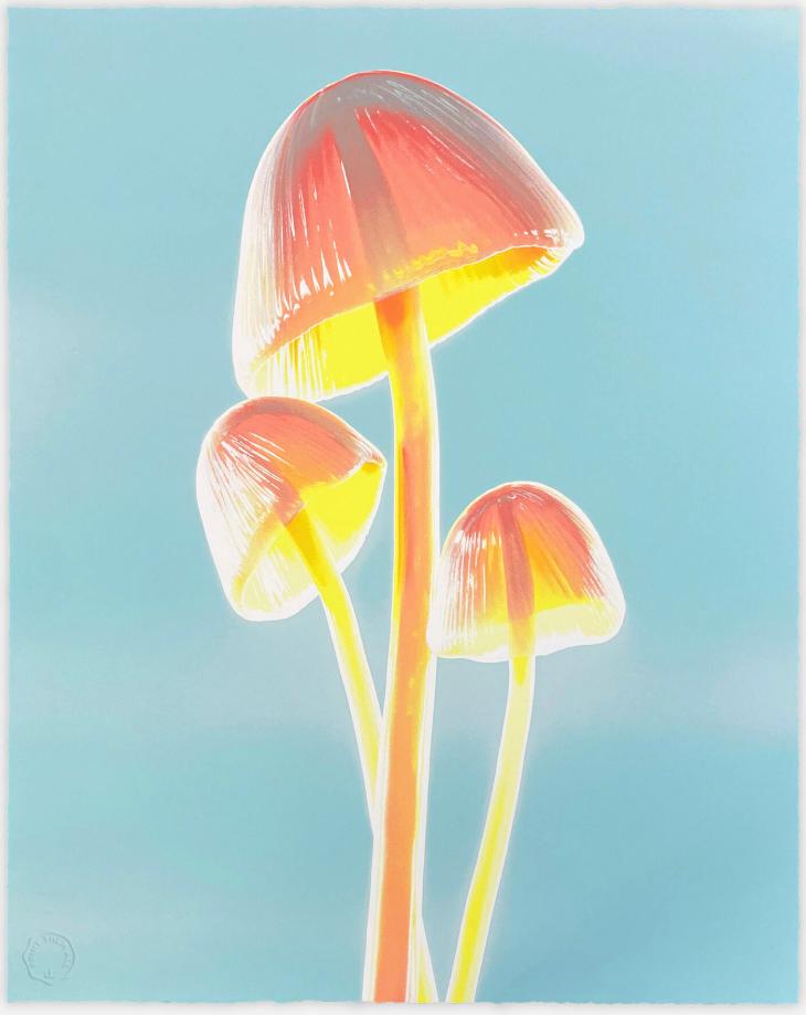 Fvckrender 'Solved//' Print Coming Soon