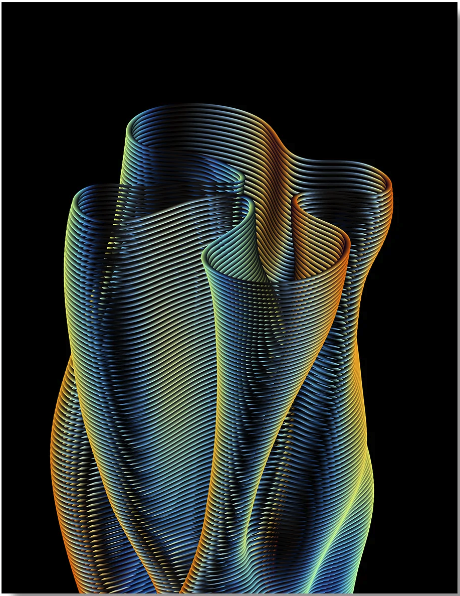 Zach Lieberman 'Extruded Blob 2' Print Available