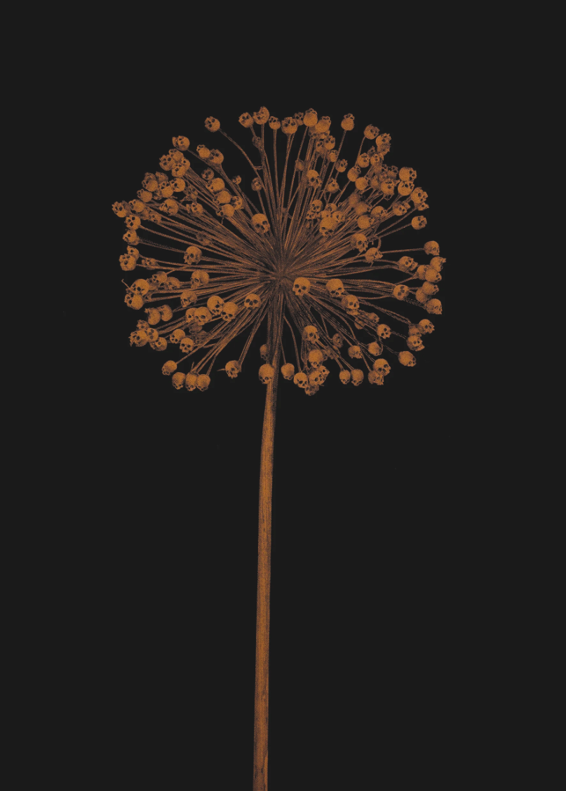 Cassandra Yap 'Hereafter' (Copper) Print Available