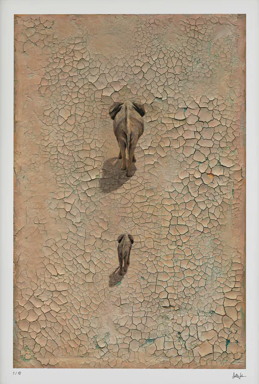 Lukas Leibe 'Life On Earth' Print Available